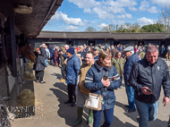 PN030422-166 - Paul Nicholls Stable Visit